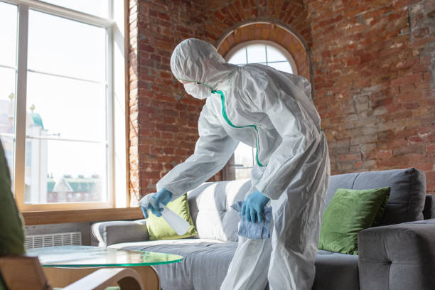 Why You Should Choose Our Mold Remediation Services in East Camden, SC